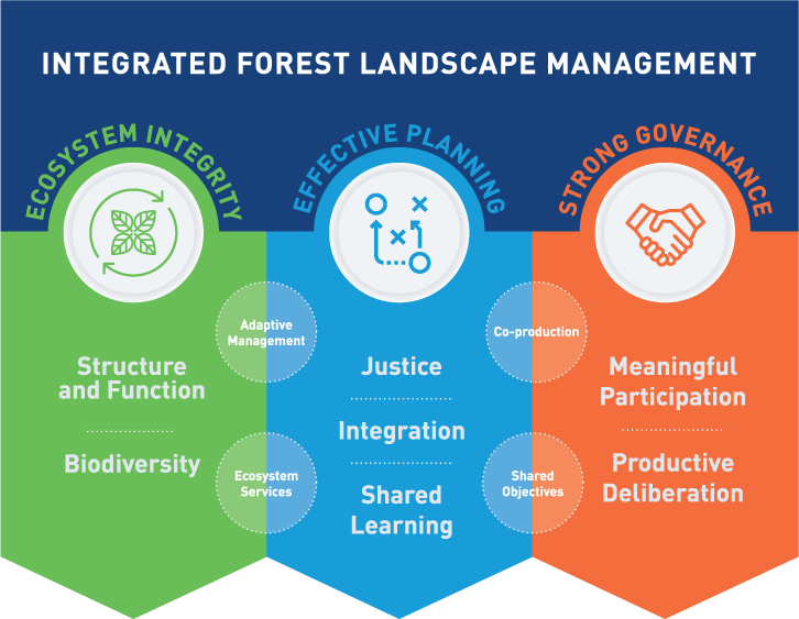 The three pillars of integrated forest management