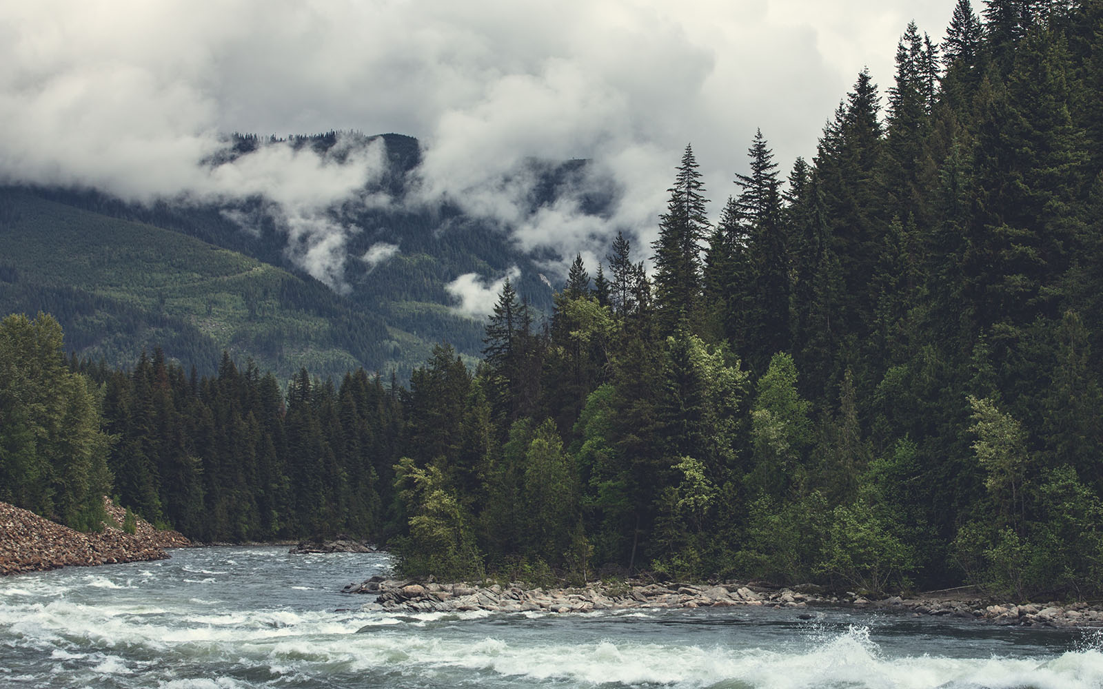 British Columbia forests