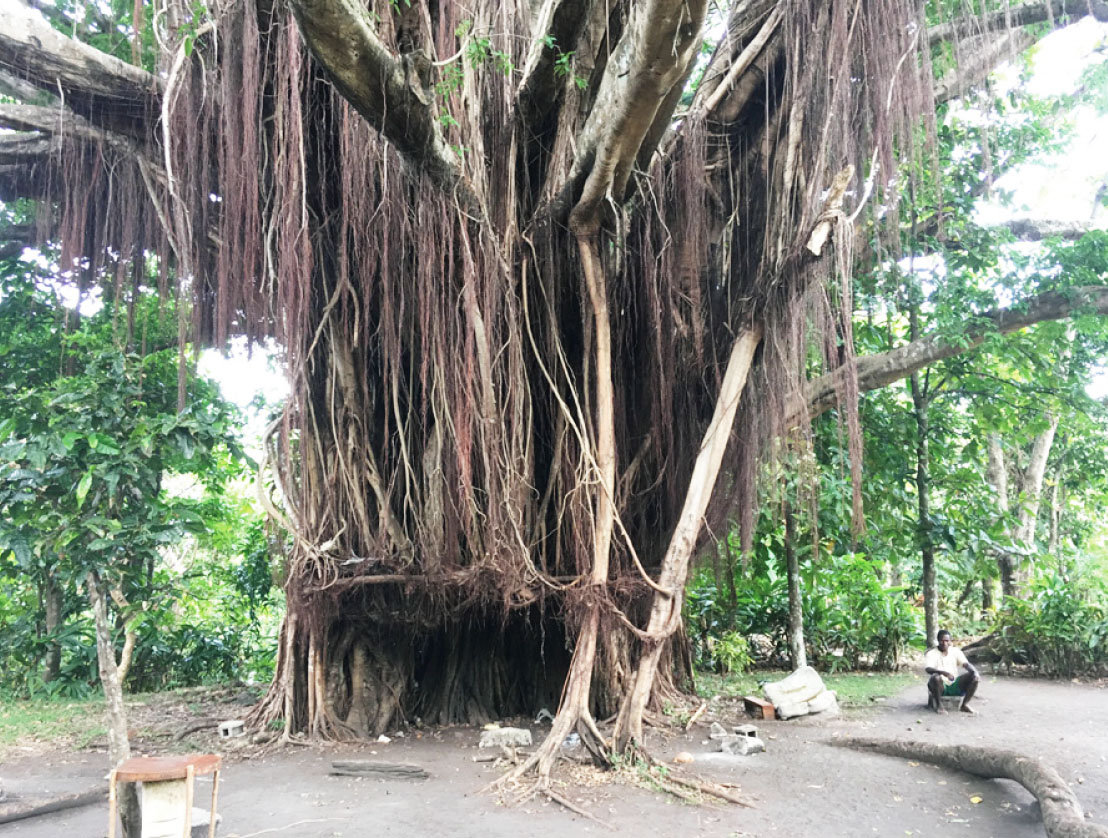 Nakamal meeting place in Vanuatu
