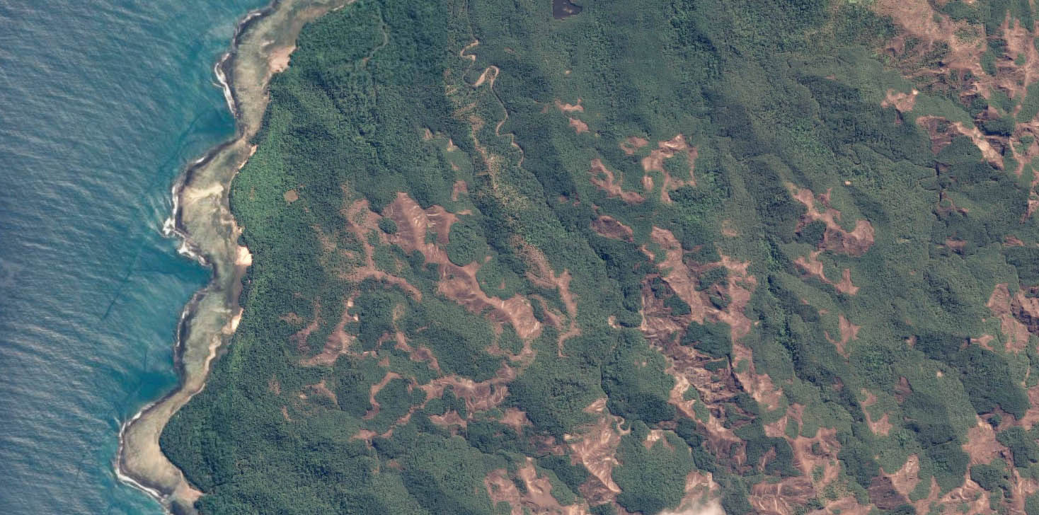 Evidence of logging in Solomons Islands